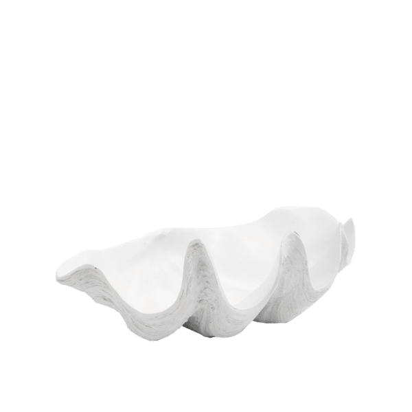 ClamShell_White-1.png