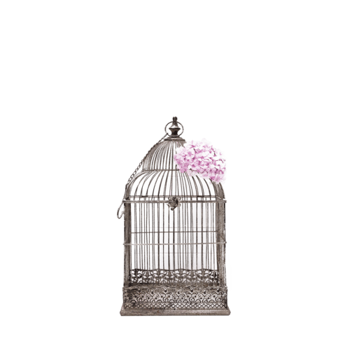 LargeFrenchbirdcage.png