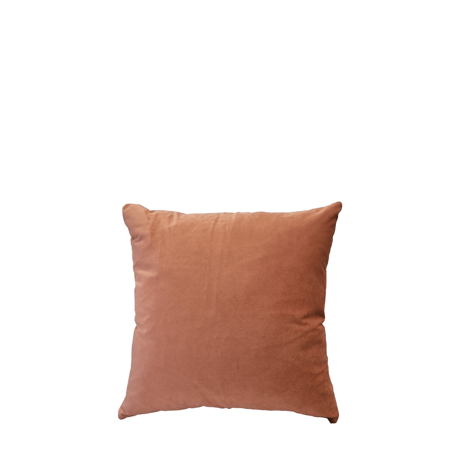 Spiced Clay Cushion